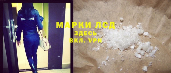 индика Арсеньев