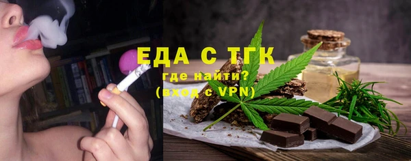 индика Арсеньев