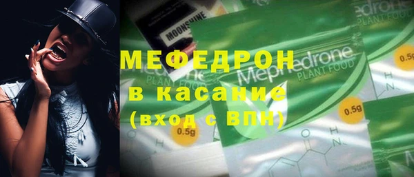 индика Арсеньев