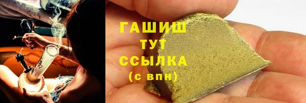 индика Арсеньев