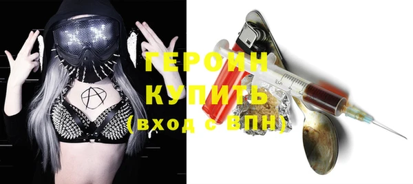индика Арсеньев