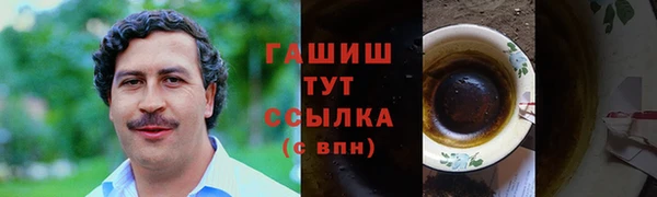 индика Арсеньев
