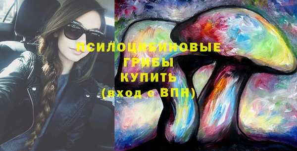 индика Арсеньев
