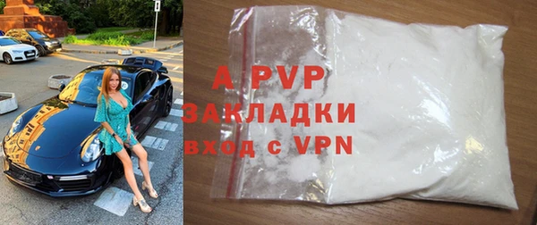 индика Арсеньев