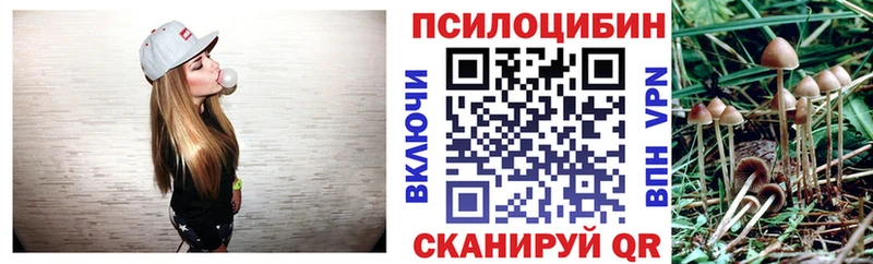 MEGA сайт купить наркотик Аркадак Псилоцибиновые грибы Cubensis