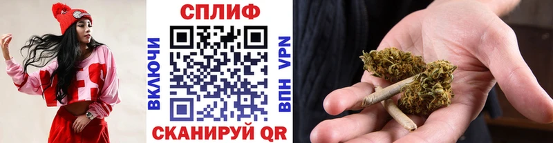 MEGA вход  Аркадак  Бошки Шишки семена 